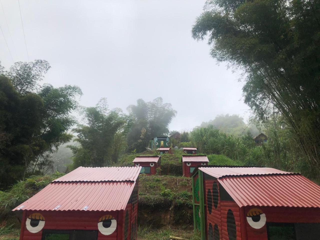 Miradores Del Oso Perezoso Vila Minca Quarto foto