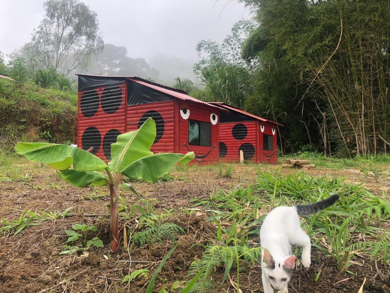 Miradores Del Oso Perezoso Vila Minca Exterior foto