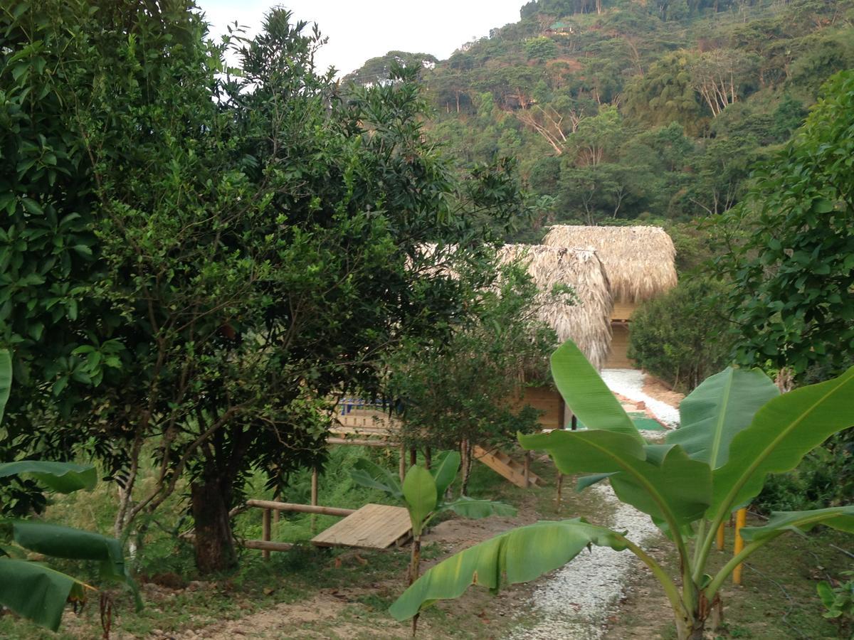 Miradores Del Oso Perezoso Vila Minca Exterior foto