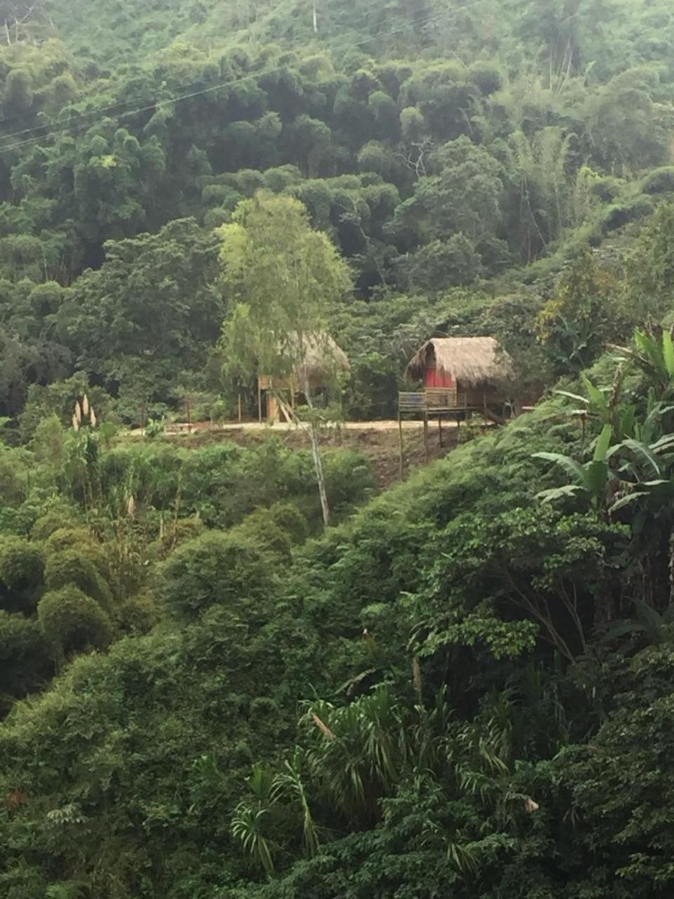 Miradores Del Oso Perezoso Vila Minca Exterior foto